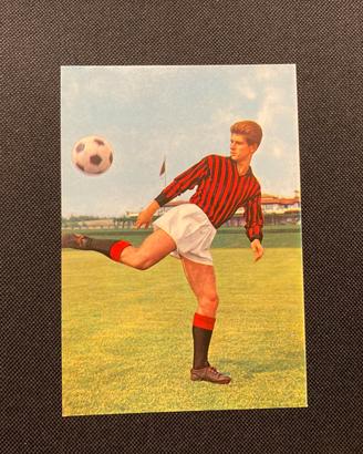 Rara Cartolina GIANNI RIVERA Milan 1960/61 - ADF