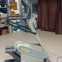 tecnogym step xt cross training 