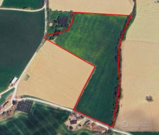 Terreno - Fermo
