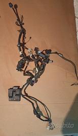 Centralina HM 125 2T Six Competition e cablaggio 