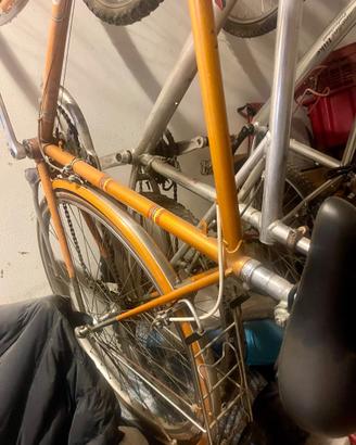 Bici da uomo