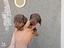 Immagine 5