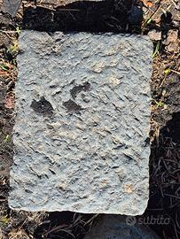 Basola e ndoste ntoste 