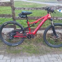 E-bike olympia 900 trail