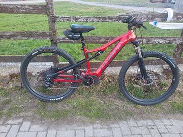 E-bike olympia 900 trail