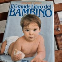 Il grande libro del bambino