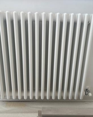 Radiatori termosifoni in acciao Zehnder