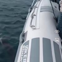 Jokerboat 650 coaster gommone