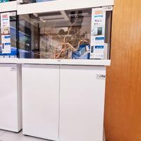 ACQUARIO JUWEL Rio125 più  Tavolo