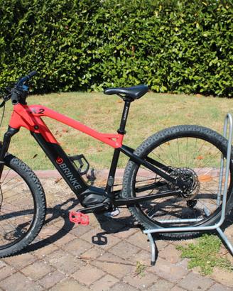Mountain bike elettrica