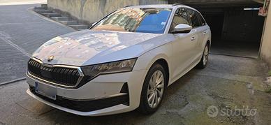 Skoda Octavia Wagon 2.0 TDI DSG 150 CV Executive