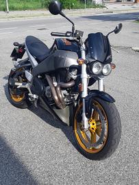 Buell