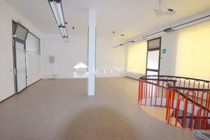 Rif.LG48_3| negozio cornuda