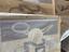 Immagine 6