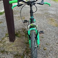 Bicicletta R 16 biamortizzata