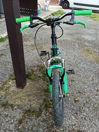 Bicicletta R 16 biamortizzata