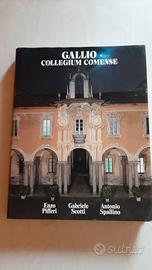 libro storia como