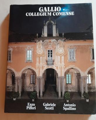 libro storia como