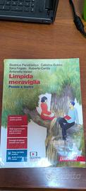 limpida meraviglia poesia e teatro
