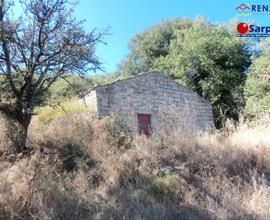 Rustico con terreno agricolo - Tempio Pausania