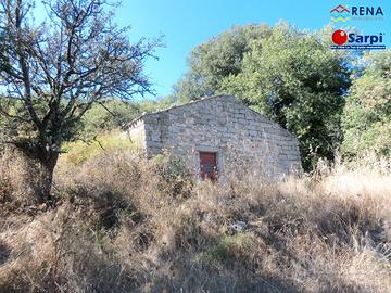 Rustico con terreno agricolo - Tempio Pausania