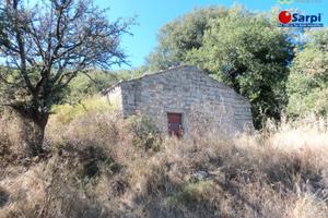 Rustico con terreno agricolo - Tempio Pausania