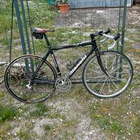 Bianchi telaio in carbonio