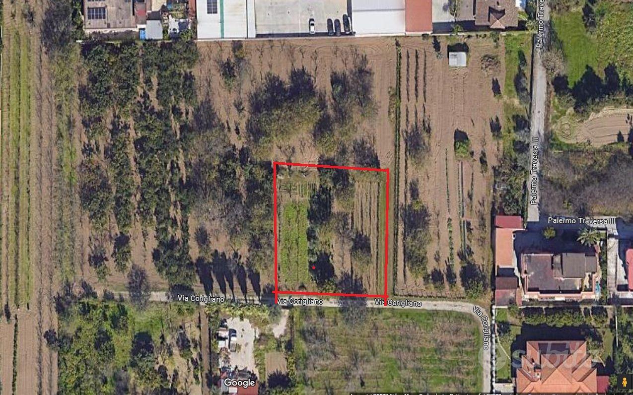 terreno con diversi alberi da frutta - Vista 3