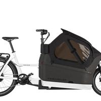 Riese&Muller Packster 70 Vario