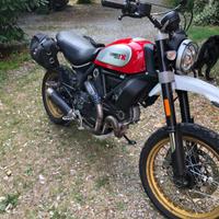Ducati scrambler 800cc