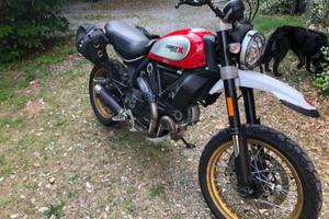 Ducati scrambler 800cc
