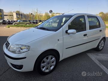 Fiat Punto 1.2 16V 5 porte Emotion* Neo patentati 
