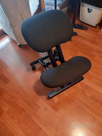Sedia ergonomica Cinius