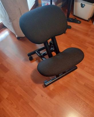 Sedia ergonomica Cinius