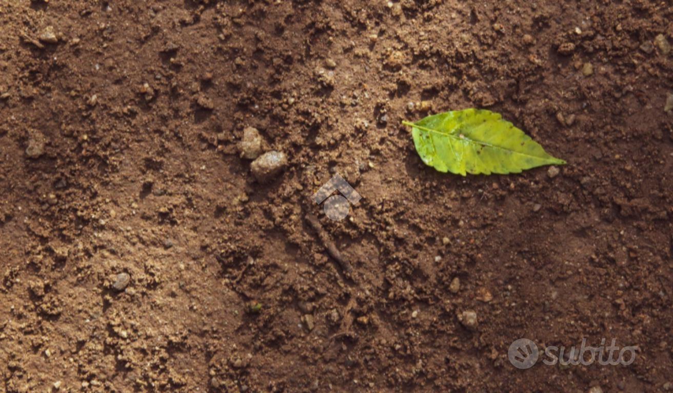 TERRENO A COLOGNO AL SERIO - Altro