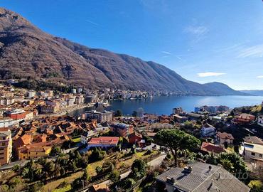 OMEGNA APPARTAMENTO VISTA LAGO