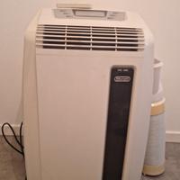 condizionatore pinguino 