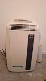 condizionatore pinguino 