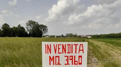 Terreno agricolo zona Arsego (Padova)