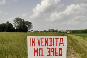Terreno agricolo zona Arsego (Padova)