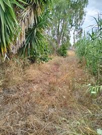 Terreno agricolo