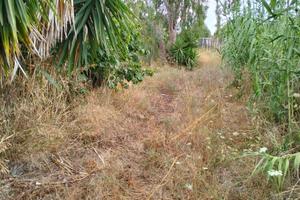 Terreno agricolo
