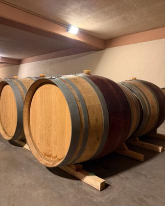 Barriques-Rovere francese per affinamento del vino