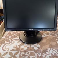 monitor Asus per computer 