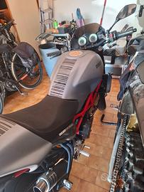 Ducati Monster S4R - 2007