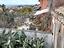 Immagine 13