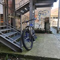 Wheelie bike Rockrider st530 limited edition
