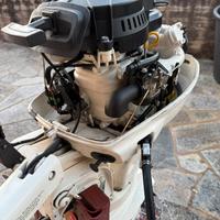 Evinrude 8Hp 4 tempi