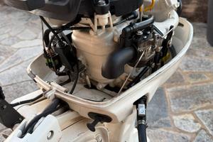 Evinrude 8Hp 4 tempi