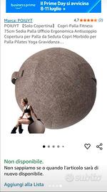 Fitball